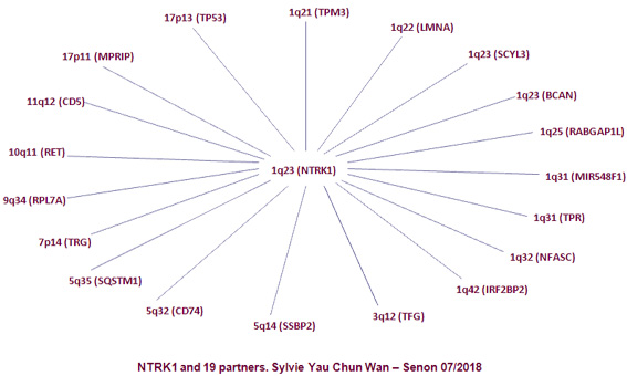 NTRK1 partners